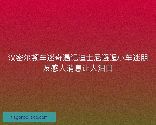 汉密尔顿车迷奇遇记迪士尼邂逅小车迷朋友感人消息让人泪目