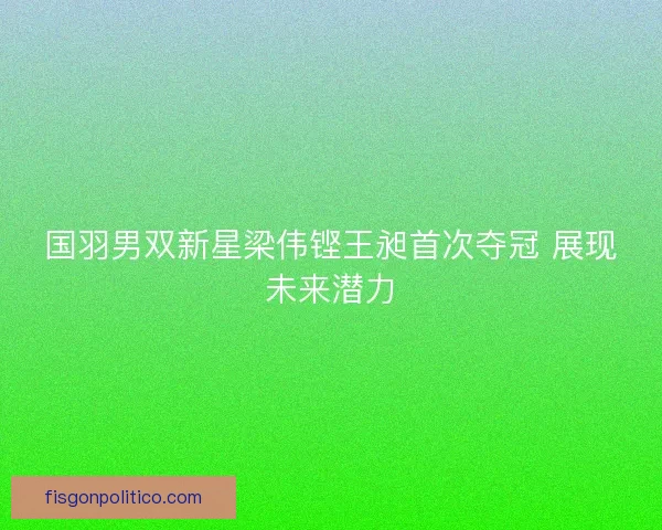 国羽男双新星梁伟铿王昶首次夺冠 展现未来潜力