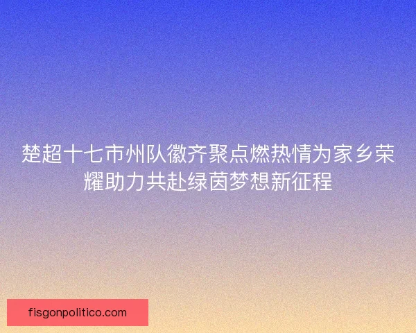 楚超十七市州队徽齐聚点燃热情为家乡荣耀助力共赴绿茵梦想新征程