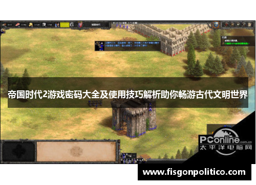 帝国时代2游戏密码大全及使用技巧解析助你畅游古代文明世界